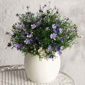 Искусственный цветок в горшке Лобелия 36 см, фиолетовый