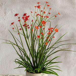 Искусственный цветок в горшке Таллинум 38 см красный Summer Deco фото 2