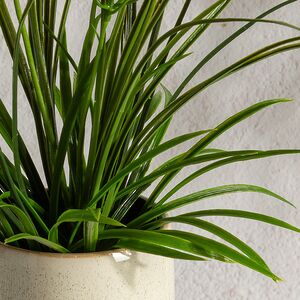 Искусственный цветок в горшке Таллинум 38 см красный Summer Deco фото 5