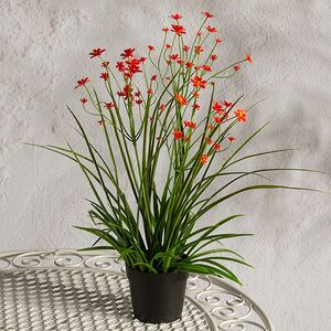 Искусственный цветок в горшке Таллинум 38 см красный Summer Deco фото 4