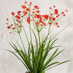 Искусственный цветок в горшке Таллинум 51 см красный Summer Deco фото 2