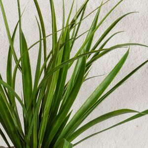 Искусственный цветок в горшке Таллинум 51 см красный Summer Deco фото 5