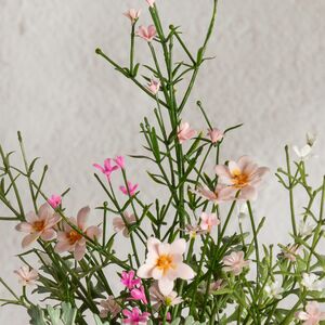 Искусственный цветок в горшке Луговые Цветы 26 см Summer Deco фото 6