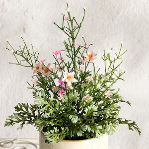 Искусственный цветок в горшке Луговые Цветы 26 см Summer Deco фото 2