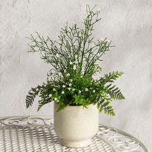Искусственный цветок в горшке Аспарагус 28 см
