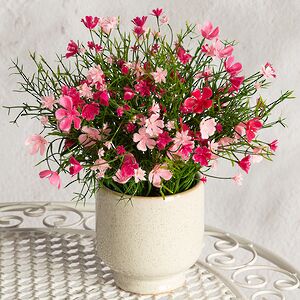 Искусственные цветы в горшке Флоксы нежно-розовые 23 см