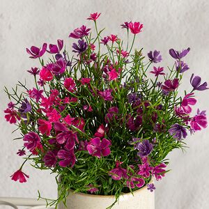 Искусственные цветы в горшке Флоксы фуксия 23 см Summer Deco фото 2