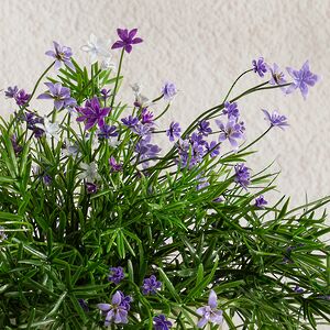 Подвесной искусственный цветок Midleton Stone 43 см, фиолетовый Summer Deco фото 2