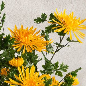 Искусственный цветок в горшке Хризантема Mentana 60 см Summer Deco фото 6