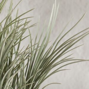 Искусственное растение в горшке Акорус - Bramhall 27 см Summer Deco фото 6