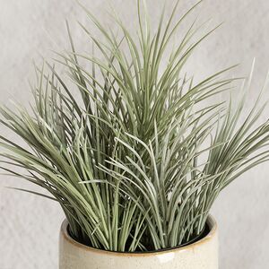 Искусственное растение в горшке Акорус - Bramhall 27 см Summer Deco фото 2