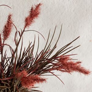 Искусственное растение в горшке Пеннисетум - Malvern Wells 32 см Summer Deco фото 7