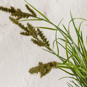 Искусственное растение в горшке Пеннисетум - Monte Grimano 32 см Summer Deco фото 5