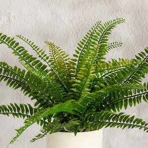 Искусственный цветок в горшке Папоротник - Малмсбери 43 см Summer Deco фото 2