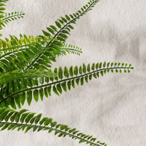Искусственный цветок в горшке Папоротник - Малмсбери 43 см Summer Deco фото 6