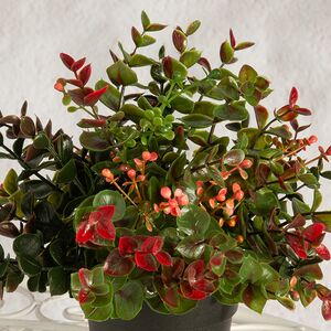 Искусственный цветок в горшке Harwich 22 см Summer Deco фото 2