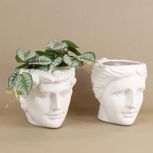 Искусственное растение в горшке Cefrado 18 см Kaemingk фото 3