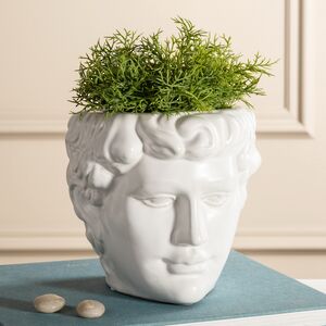 Декоративное кашпо Голова Давида 18 см