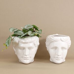 Декоративное кашпо Голова Давида 18 см Kaemingk (Кейминг) фото 4