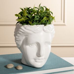 Декоративное кашпо Голова Венеры 18 см