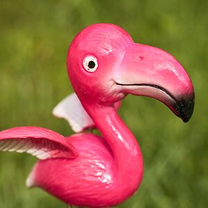 Садовый штекер Фламинго Флориан 67 см фуксия Koopman фото 2