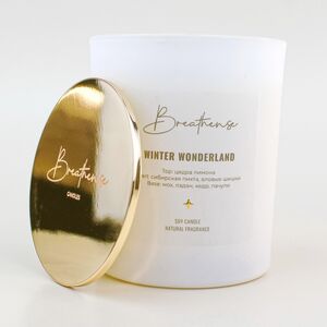 Ароматическая свеча Хвойный Лес - Breathense 9 см, 200 мл, 50 часов горения (Breathense, Россия). Артикул: 5773014