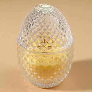 Ароматическая свеча Флора: Имбирь и Тёплая Ваниль 12 см, 20 часов горения EDG (ЭДГ) фото 2