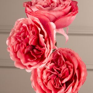 Искусственная Роза Шёлковое Сияние 58 см розовая Kaemingk (Кейминг) фото 2