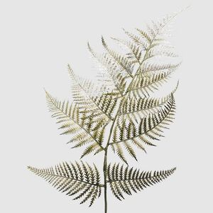 Искусственная ветка Папоротник Жерардо 82 см