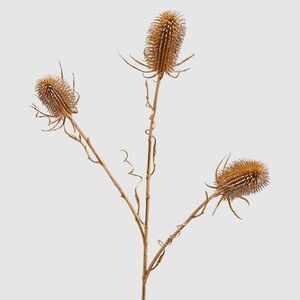 Искусственная ветка Эрингиум - Golden Concetto 69 см EDG фото 4