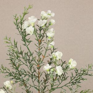 Искусственная ветка Хамелациум белый 70 см Kaemingk фото 2