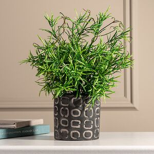 Искусственное растение в горшке Самшит 29 см черный