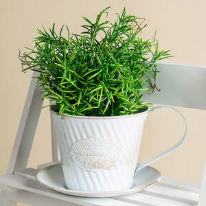 Искусственное растение в горшке Самшит 29 см черный Boltze (Больтце) фото 2