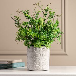 Искусственное растение в горшке Самшит 29 см бежевый