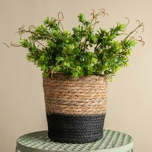 Искусственное растение в горшке Самшит 29 см бежевый Boltze (Больтце) фото 3