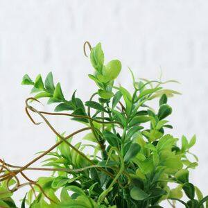 Искусственное растение в горшке Самшит 29 см бежевый Boltze (Больтце) фото 2