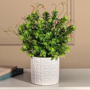 Искусственное растение в горшке Самшит 29 см белый