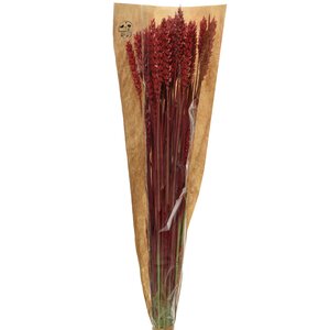 Сухоцветы для букетов Пшеница 50 см красная Kaemingk фото 2