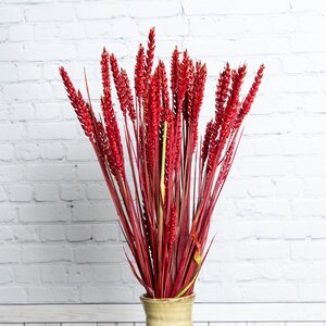 Сухоцветы для букетов Пшеница 50 см красная Kaemingk фото 1