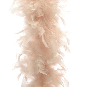 Гирлянда Боа из перьев 184 см кремовый Kaemingk фото 2