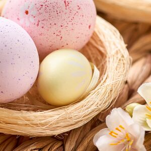 Пасхальное украшение Гнездо Птички Вивьен 10 см кремовое, 2 шт Koopman фото 2