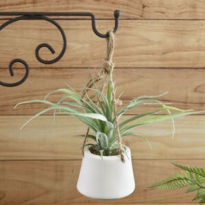 Искусственное растение в кашпо Хавортия 30 см