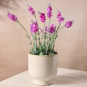Искусственный цветок Лаванда Лоддон Пинк в горшке 38 см