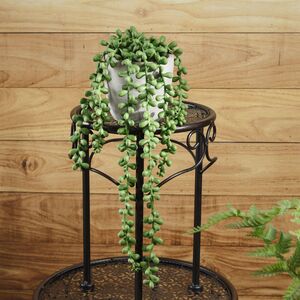 Искусственный суккулент в кашпо Бостон 15 см (Kaemingk, Нидерланды). Артикул: 800219-2