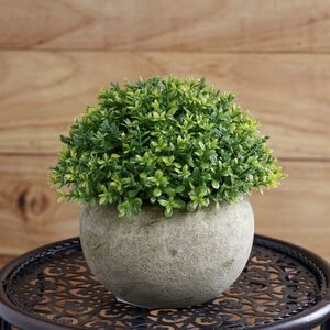 Искусственное растение в кашпо Мирт Терентина 13 см Kaemingk фото 1