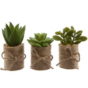 Искусственное растение Алоэ Barbadensis в джутовом кашпо 12 см Kaemingk фото 3