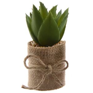 Искусственное растение Алоэ Barbadensis в джутовом кашпо 12 см Kaemingk фото 2