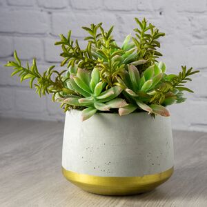 Искусственное растение в горшке Эхеверия Деренберга 22 см (Kaemingk, Нидерланды). Артикул: 800732-1