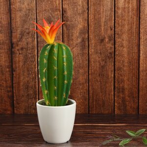 Искусственное растение в горшке Кактус Red Crown 24 см