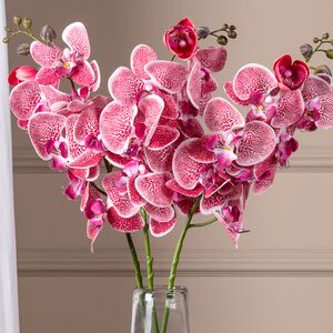 Искусственный цветок Орхидея Aphrodite 77 см Kaemingk фото 1